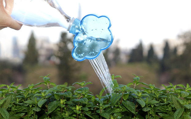 Rainmaker — Plant Watering Cloud
