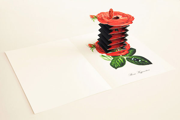 Hand-Crafted-Pop-Up-Books-8