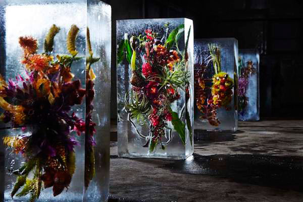 Azuma Makoto installed a dozen of iced flowers