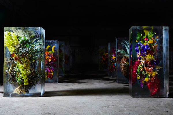 Iced-Flowers-Installations-1b