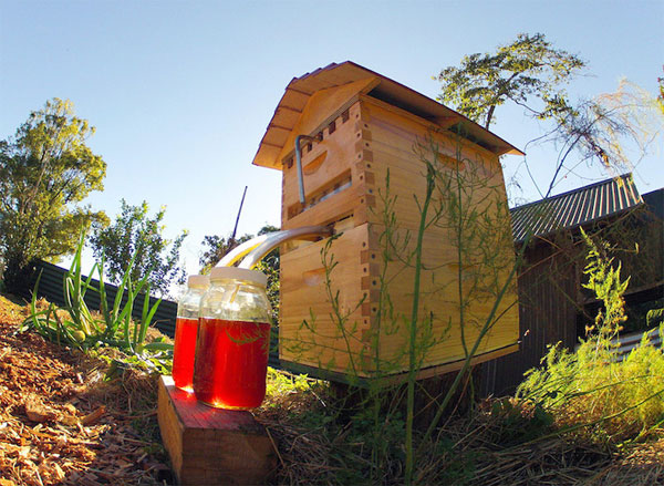 Flow Hive: the amazing honey extractor