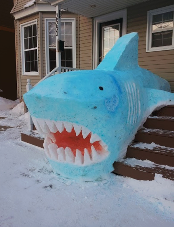 snowshark