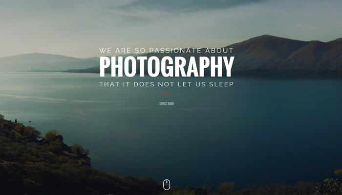 20 premium WordPress portfolio themes that are responsive