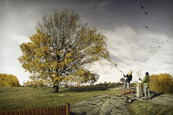 ErikJohansson6