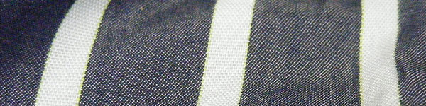 Fabric Texture #1