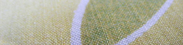 Fabric Texture #11