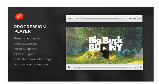 The best 5 video player plugins for WordPress