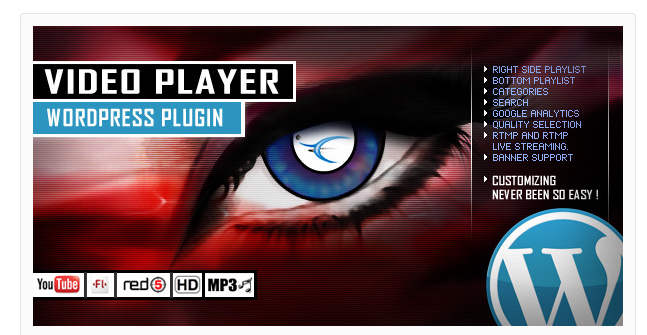 Video-Player-Wordpress-Plugin-YouTubeFLVH264-2