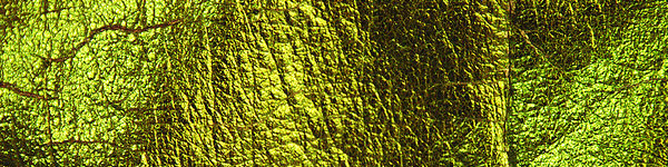 alien skin disco fabric texture