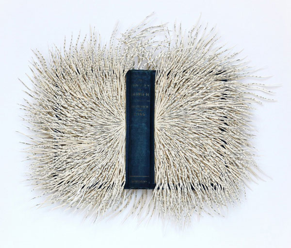 Tentacular book papercuts by Barbara Wildenboer