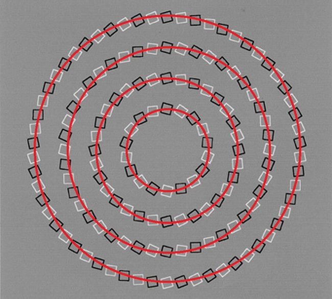 overlapping circles 2