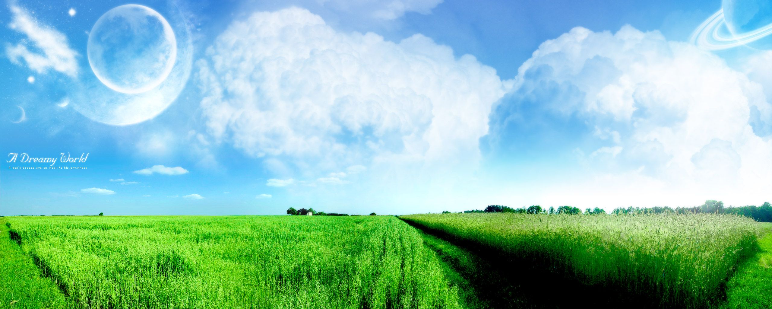 Green Wheat Fields