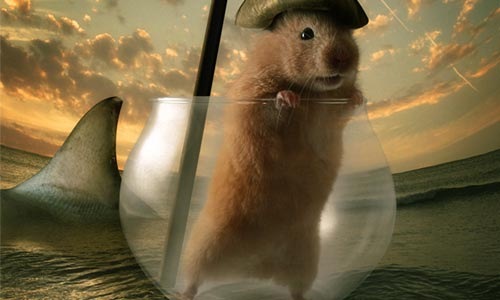 How to Create Glass Transparency in a Cute Photo Manipulation