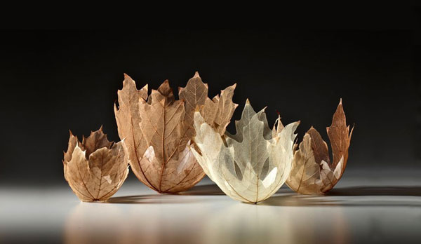 art-leaf-bowl-kay-sekimachi-99