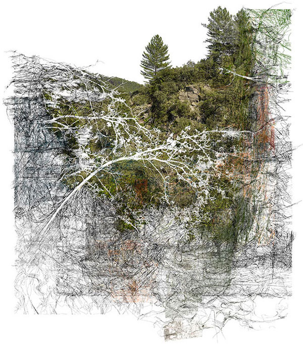 French artist Bertrand Flachot merges photos with drawings