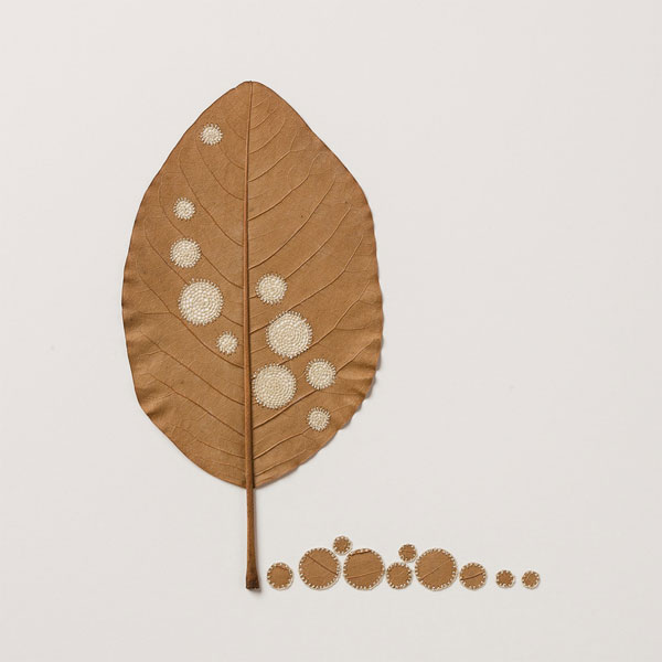 leaf-7