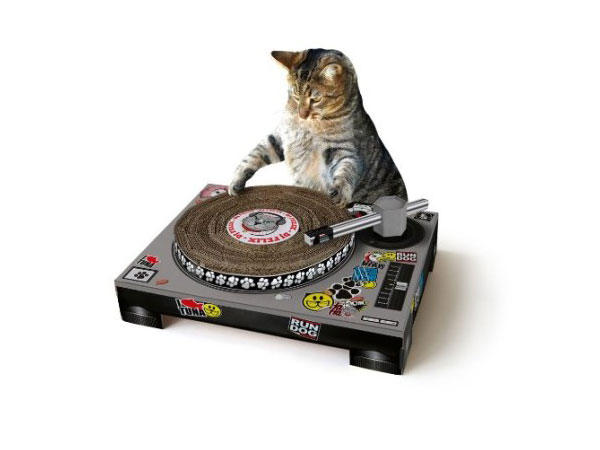 cat-dj-468x368