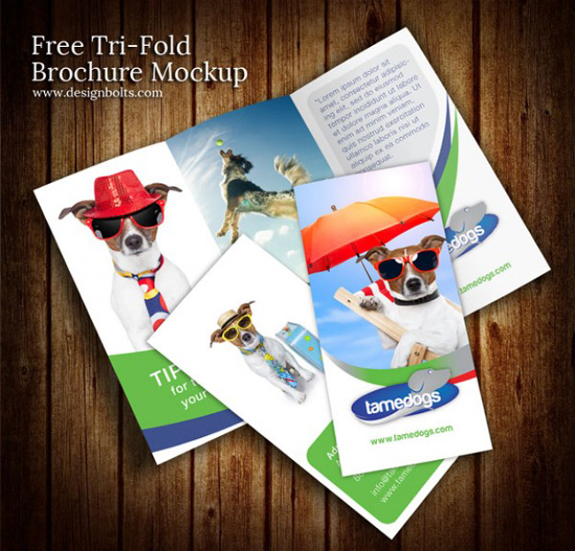 trifold-brochure