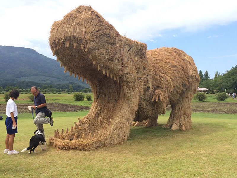Spectacular straw dinosaurs emerged in Japanese fields