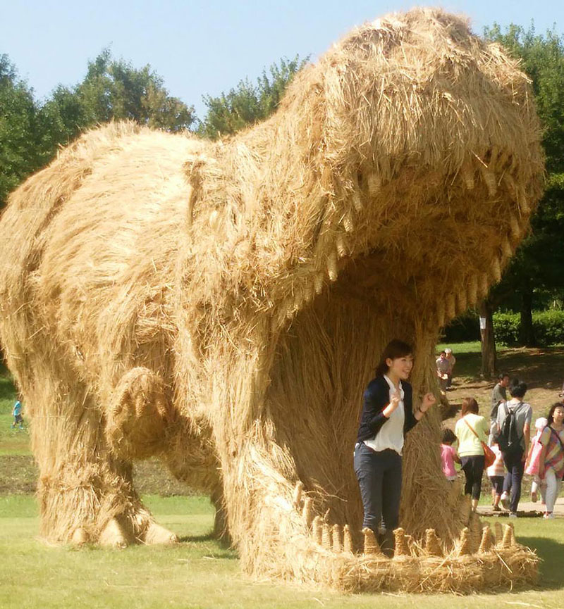 dinosaur-straw-sculptures-wara-art-festival-2015-niigata-japan-683