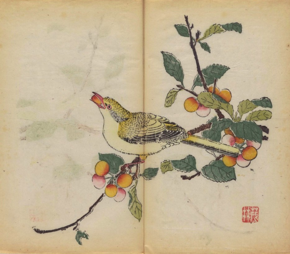 oldest-colored-book (3)