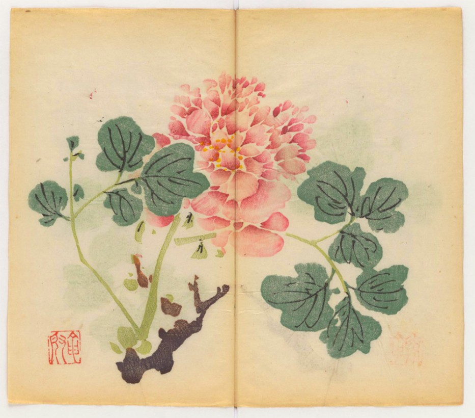 oldest-colored-book (5)