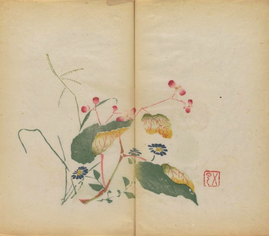 oldest-colored-book (7)