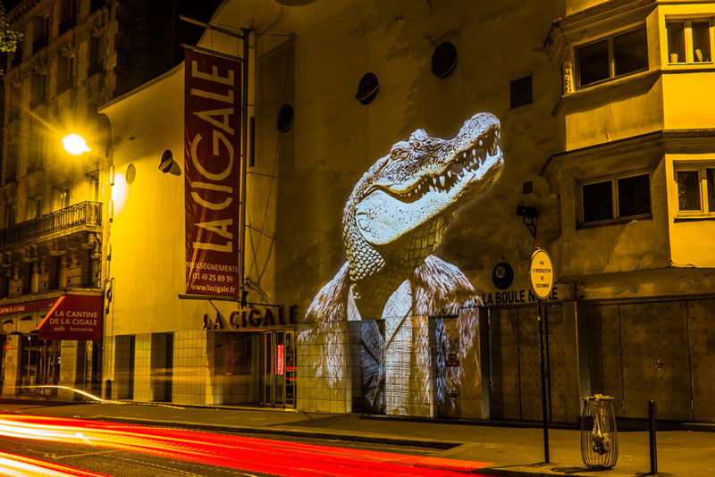 safari-urbain-une-expdsfsdf$dans-les-rues-de-paris