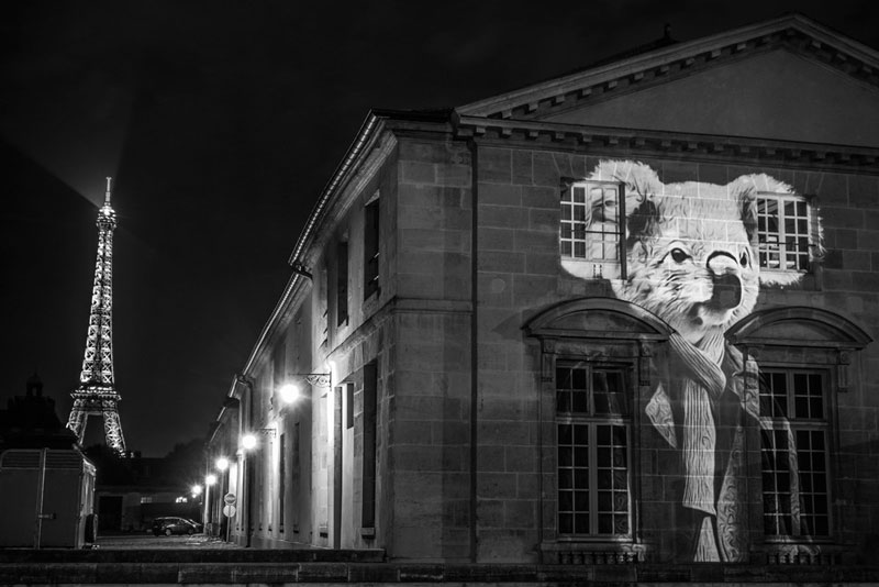 Urban safari, a street art experiment in Paris