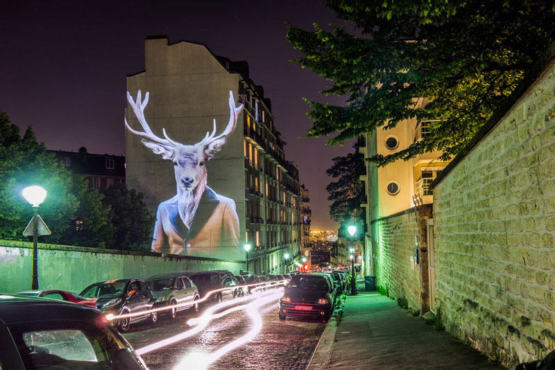 safari-urbain-une-experjhjkj-rues-de-paris