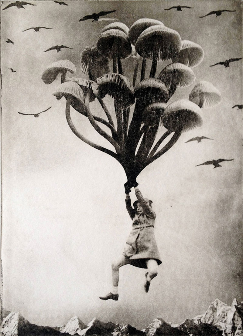 The surreal solarplate etchings of Jaco Putker