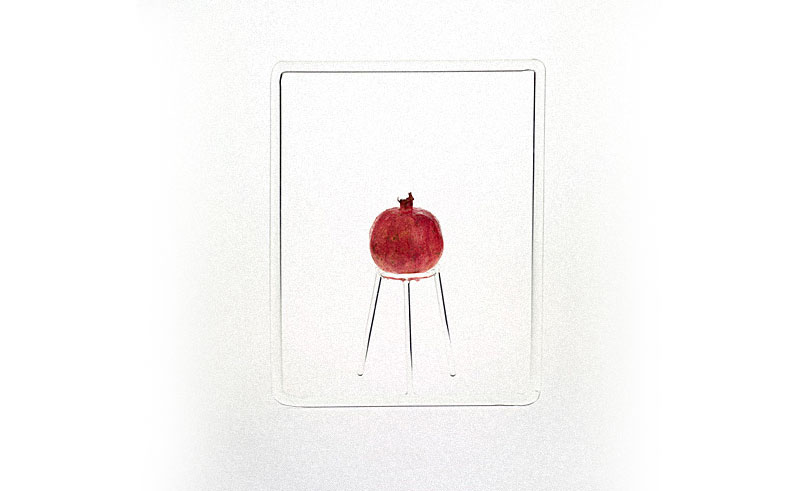 support-verre-fruit-06