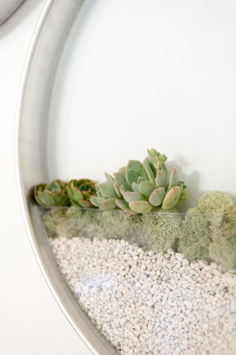 Vertical wall terrariums by Kim Fisher
