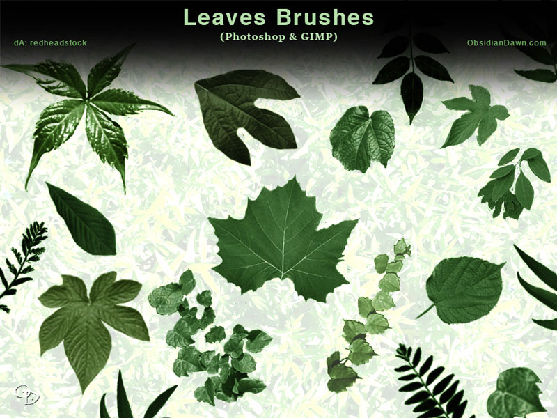 leaves_photoshop_and_gimp_brushes_by_redheadstock-d65kze