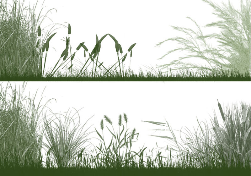 the-grasslands-photoshop-brushes