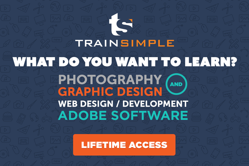 trainsimple2