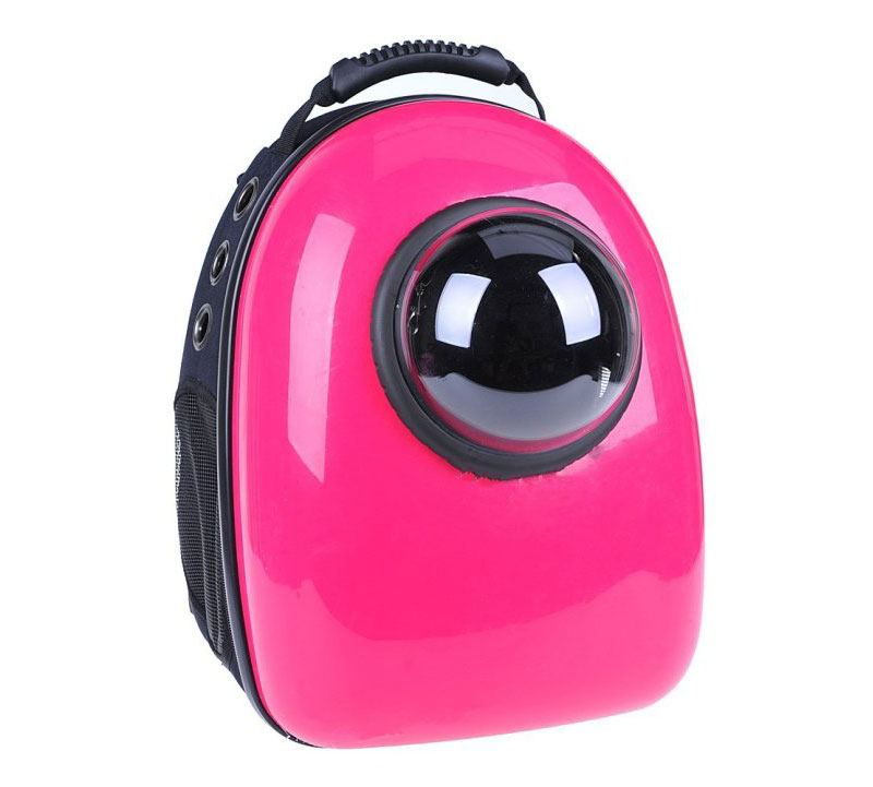Carrying your pet with this backpack will turn it into a catstronaut