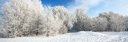 winter-landscape