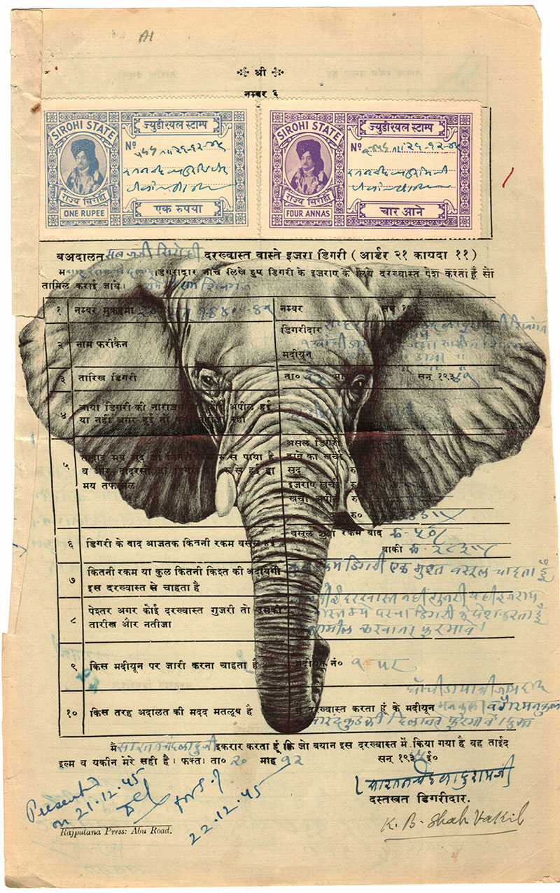 elephant