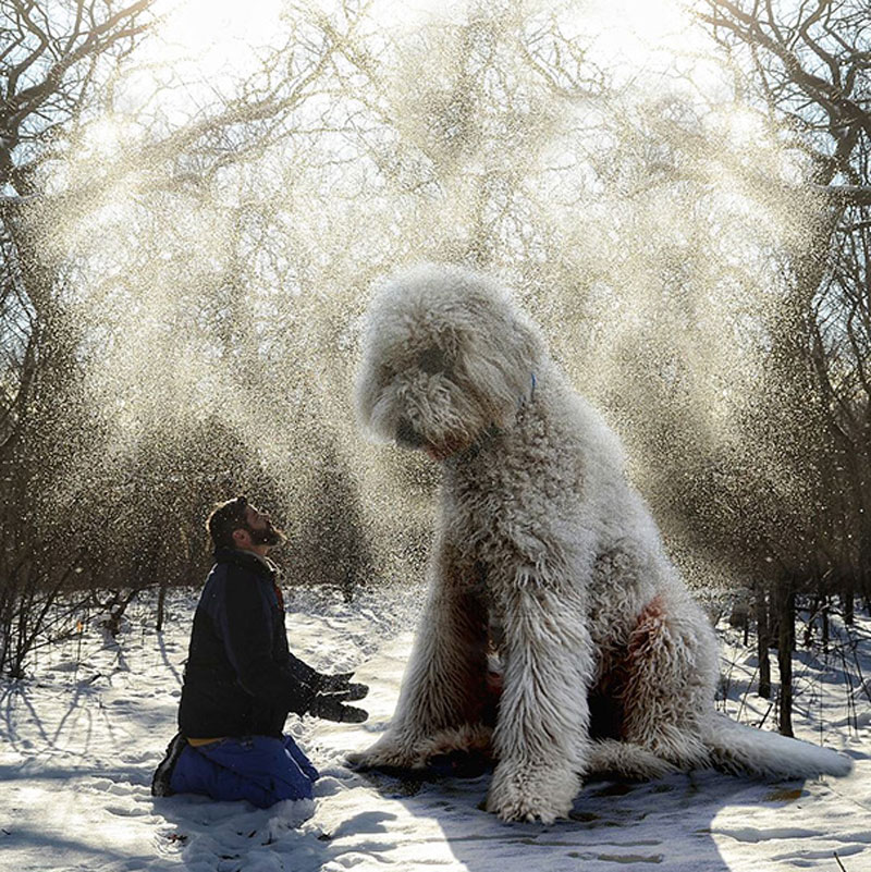 giant-dog-photoshop-adventures-juji-christopher-cline-1