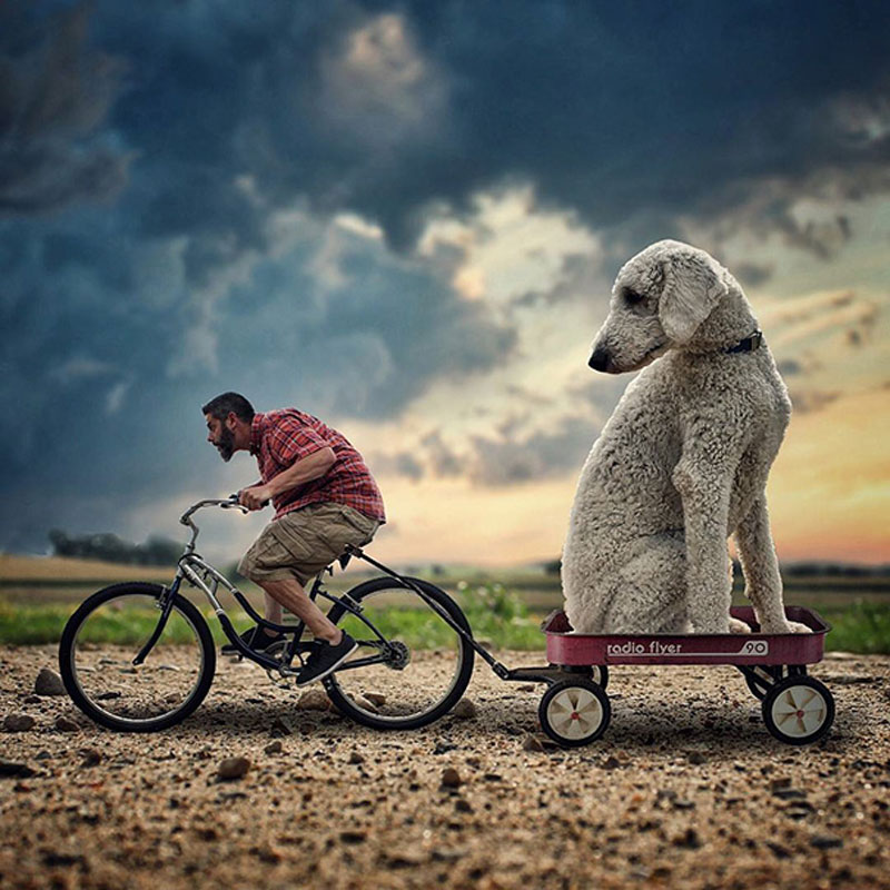 giant-dog-photoshop-adventures-juji-christopher-cline-33