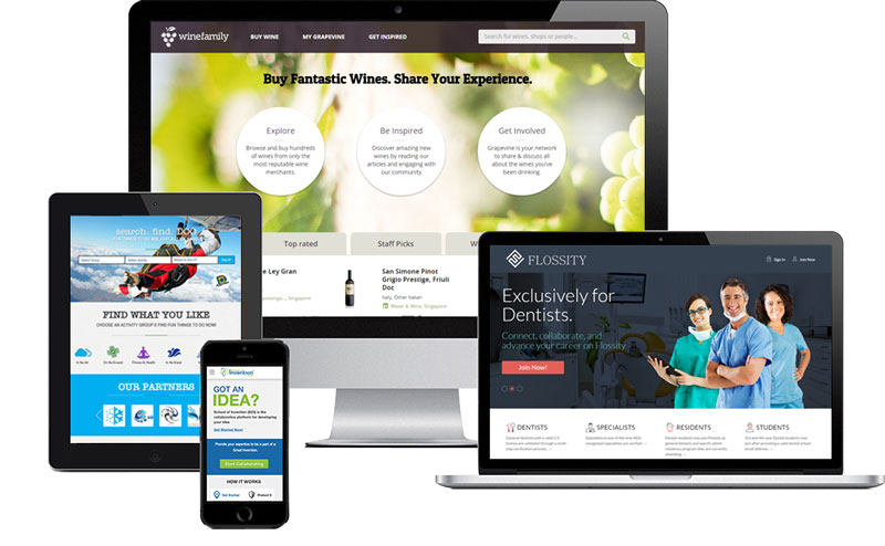 Why you can benefit from a pre-made website design