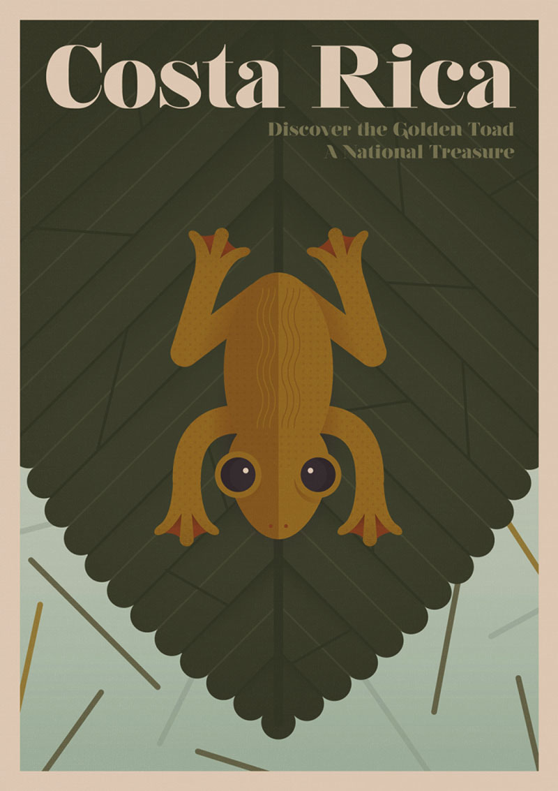 costa-rica-golden-toad-700x991