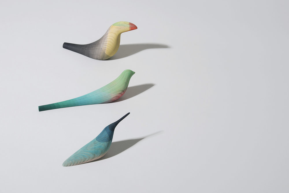 Gorgeous immersed birds by Moisés Hernández