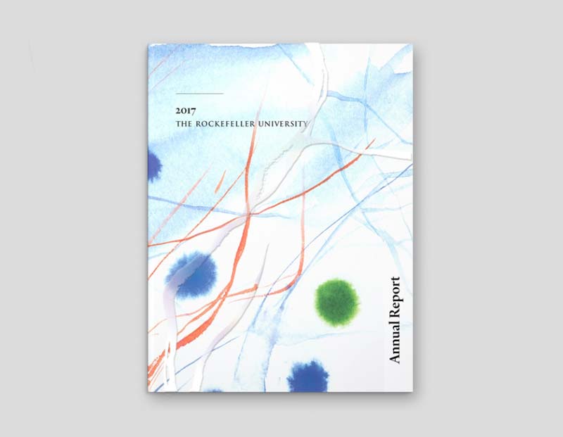 Spectacular layout using scientific images for the Rockfeller University annual report