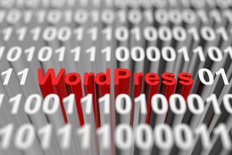 The Differences Between WordPress.COM vs WordPress.ORG