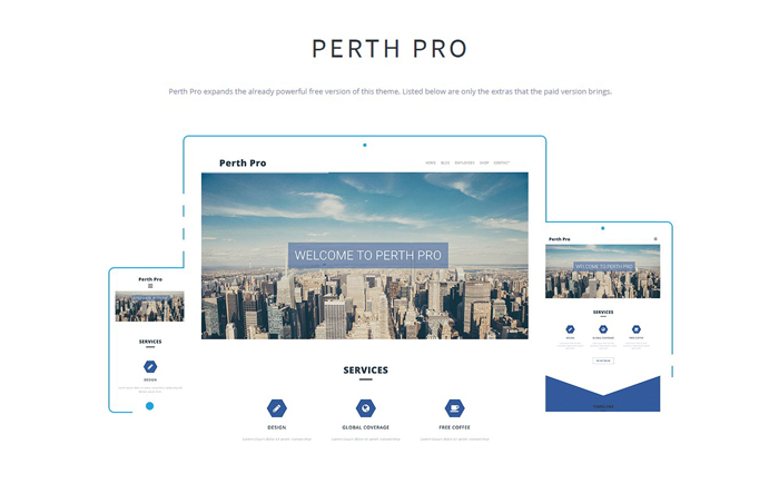 Perth Pro Theme