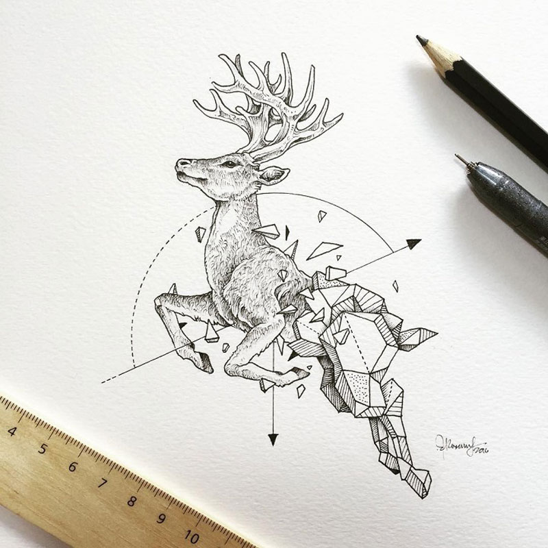Illustrations of wild animals bursting out of geometric encasings