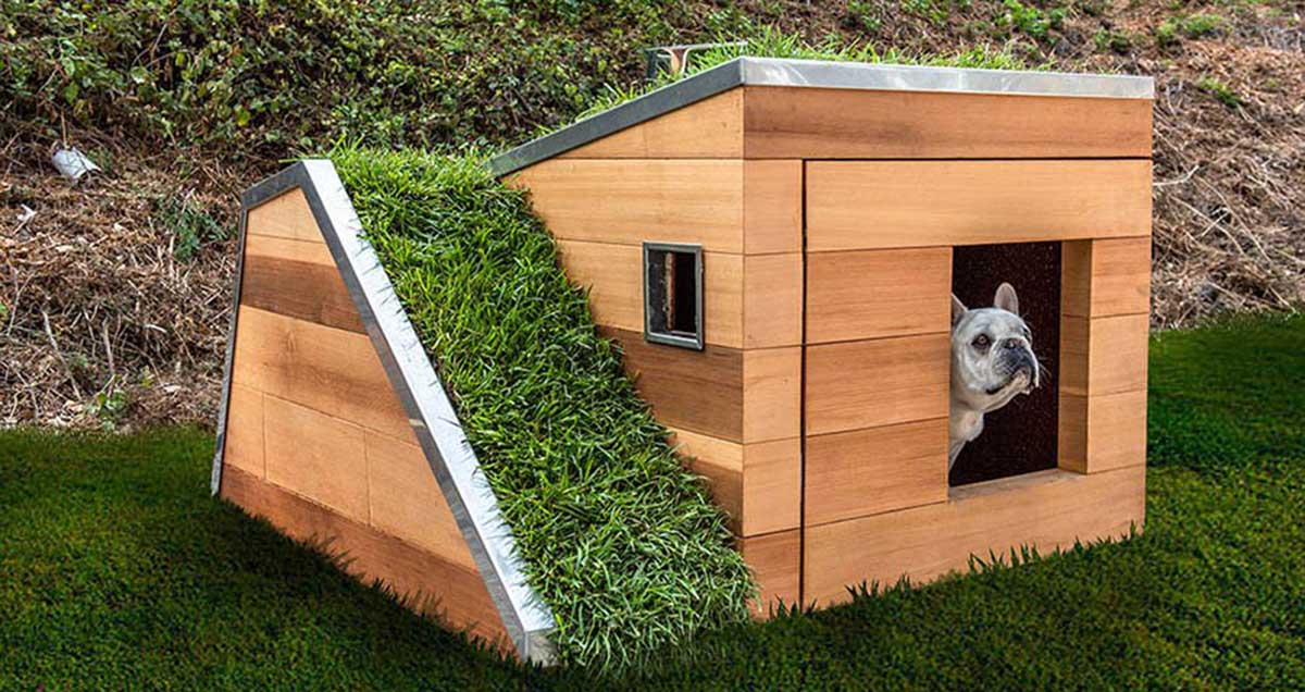 The dream dog house by Studio Schicketanz