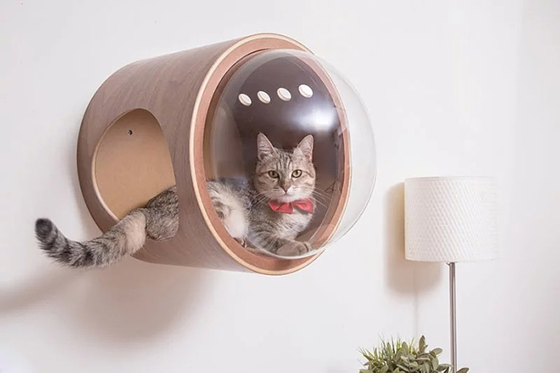 Luxury cat beds furniture hotsell